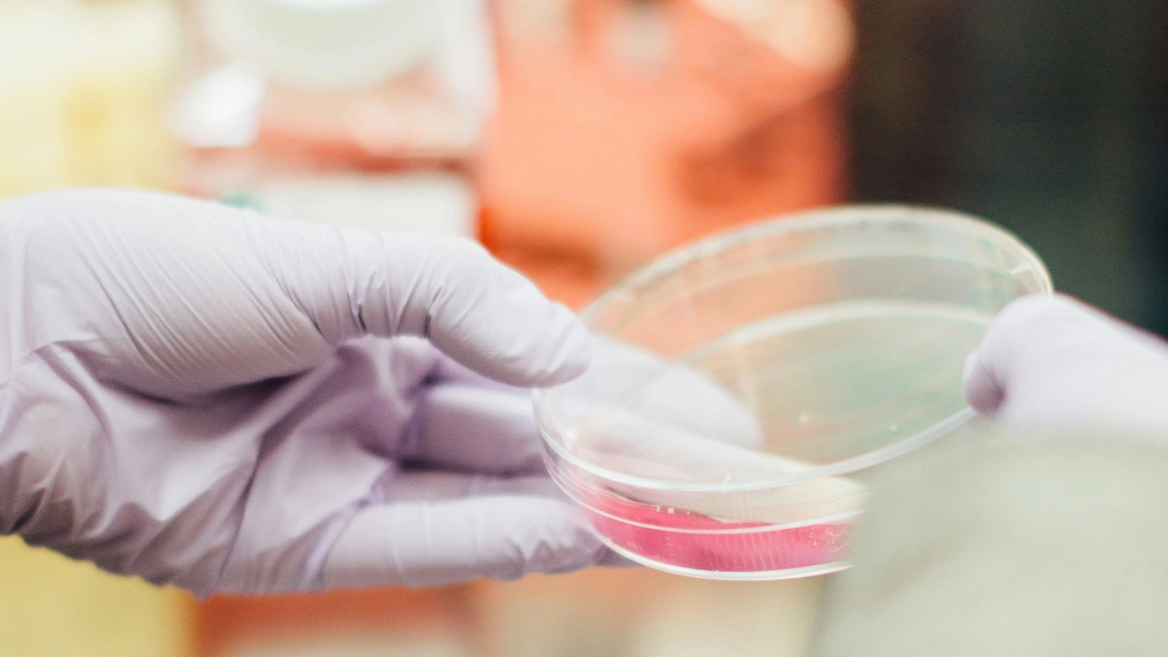 Laboratory technician holding scientific sample