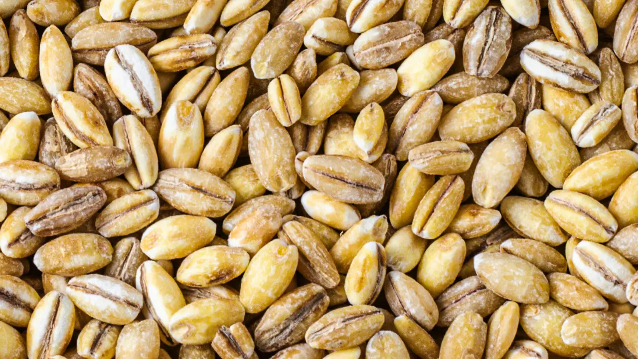 Oat grains