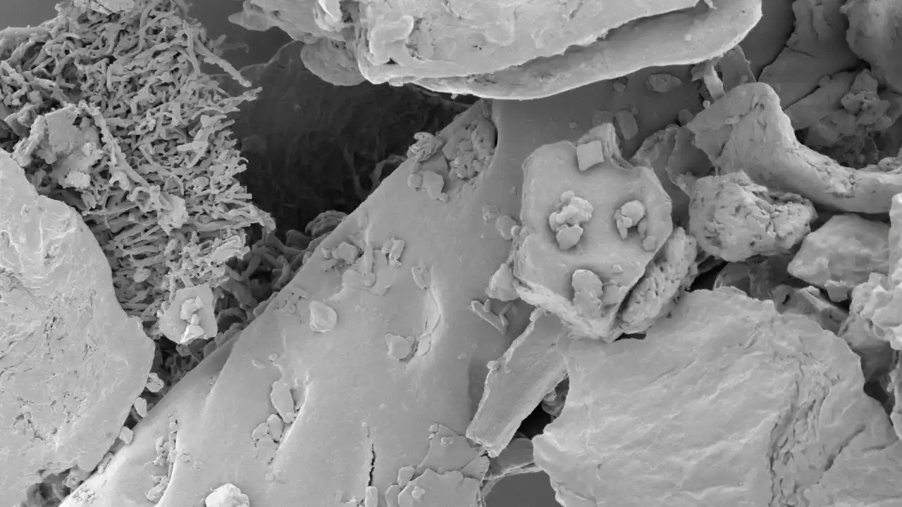 microscopic image of dust particles