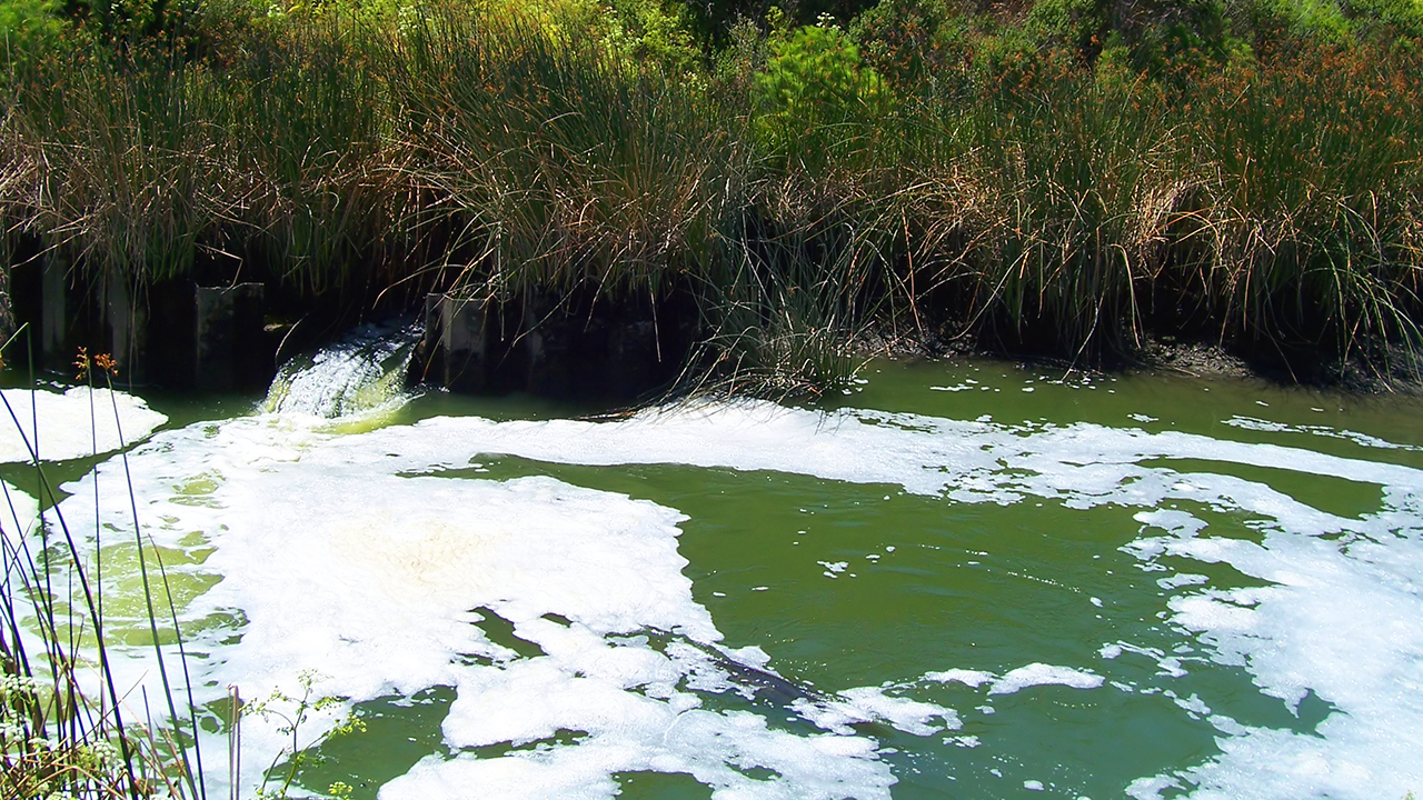 Tracing Disinfectants in Treated Water Impacted by Wildfires