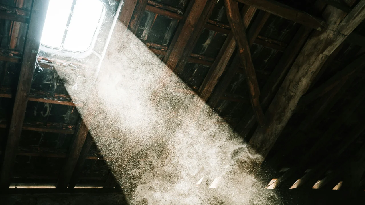 dust floating in sunlight through attic window