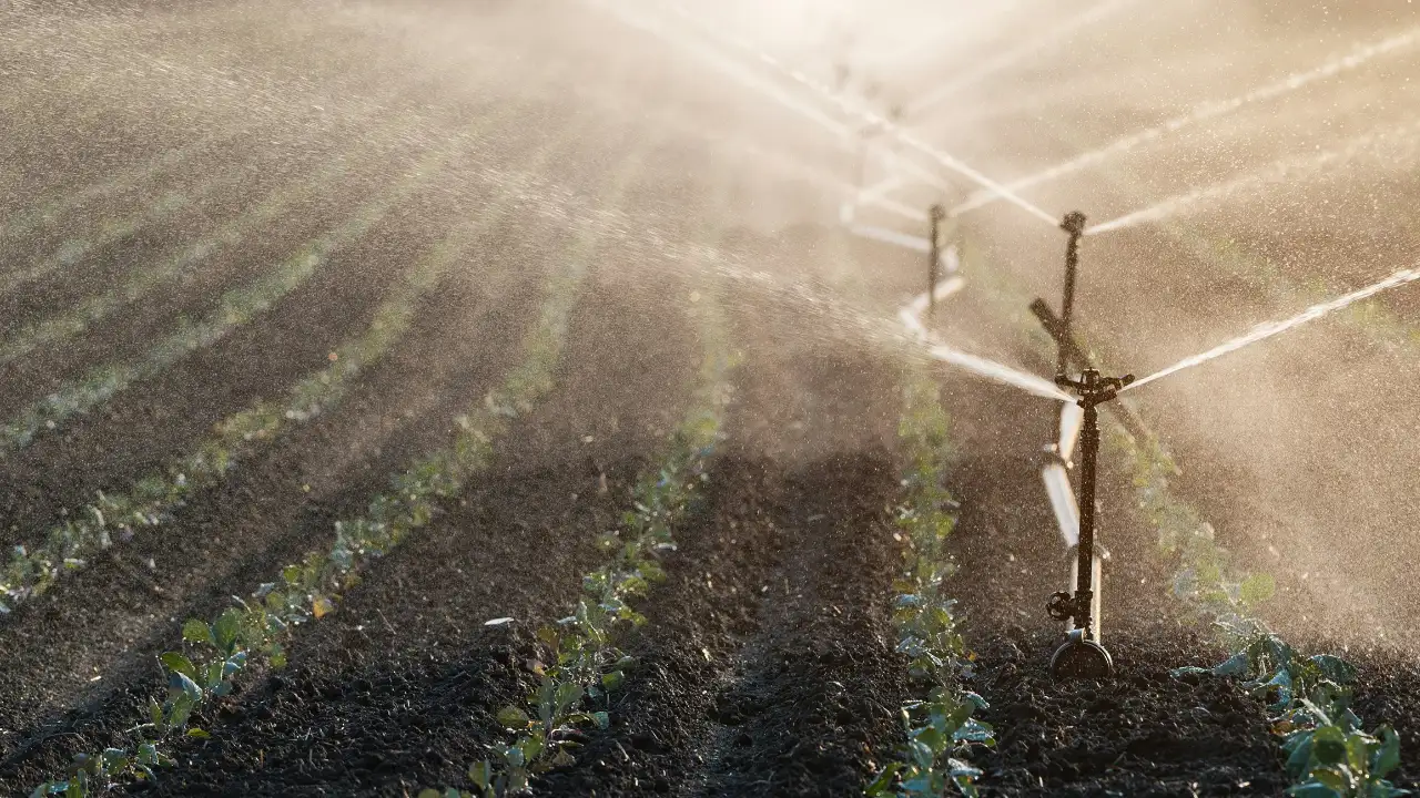Watering farm crops