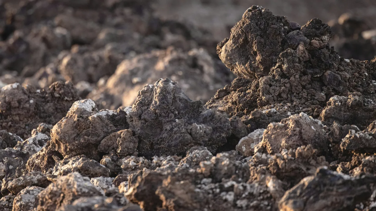 Dried soil representing thermal analysis