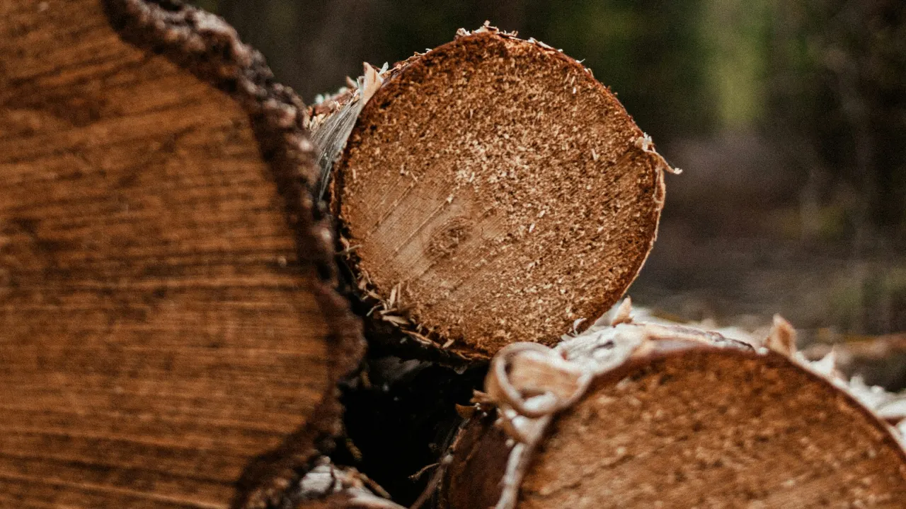chopped wood for lumber industry