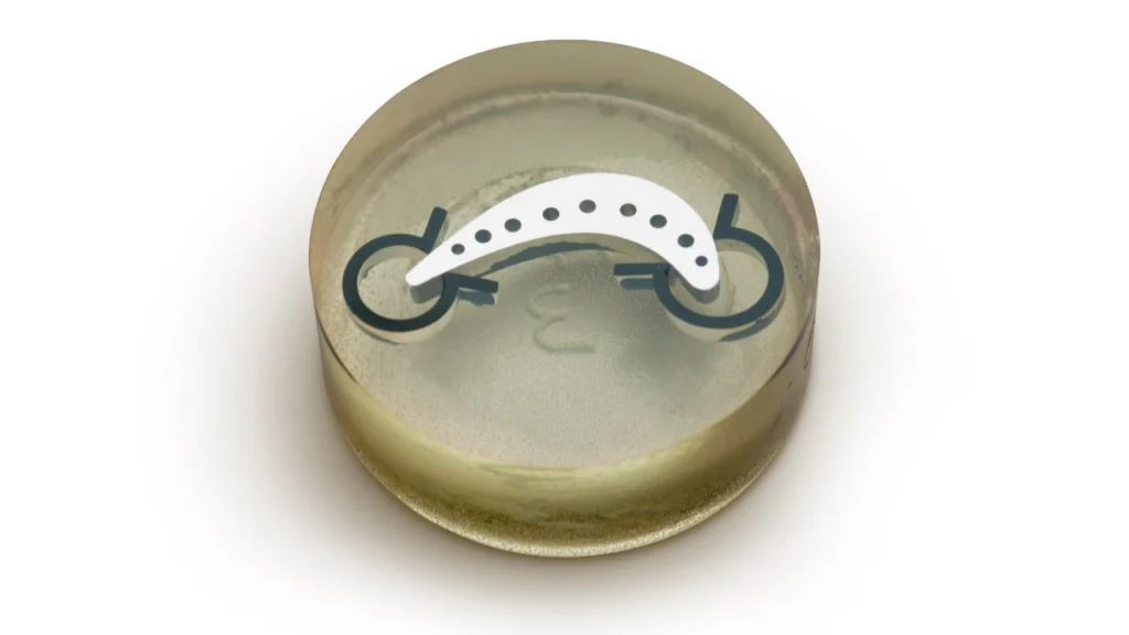 clear metallographic mount of a cross-section of a small turbine blade