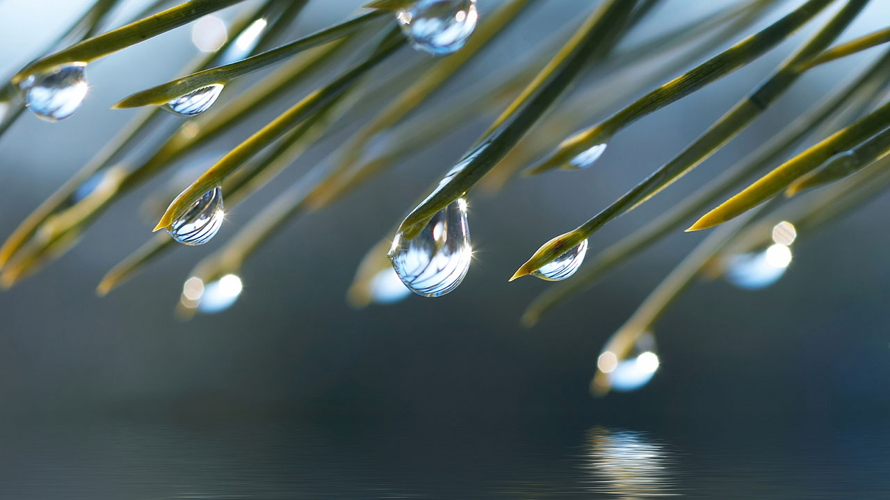 Hero image of water droplets reflected in the water for "Environmental Testing & Analysis Solutions"