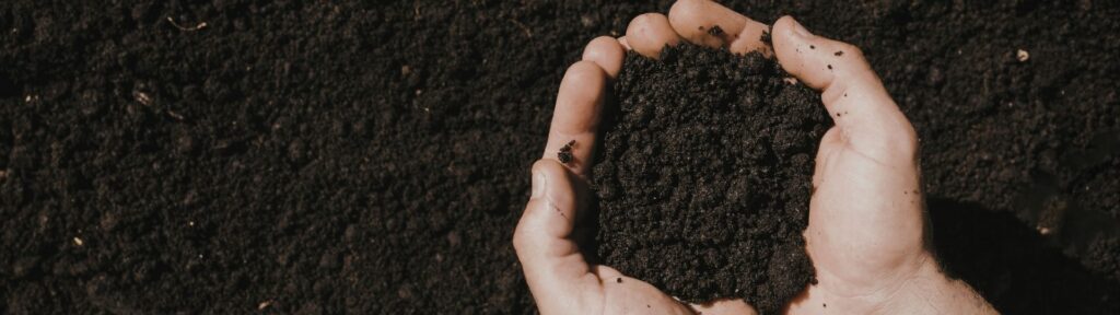 a hand holding soil