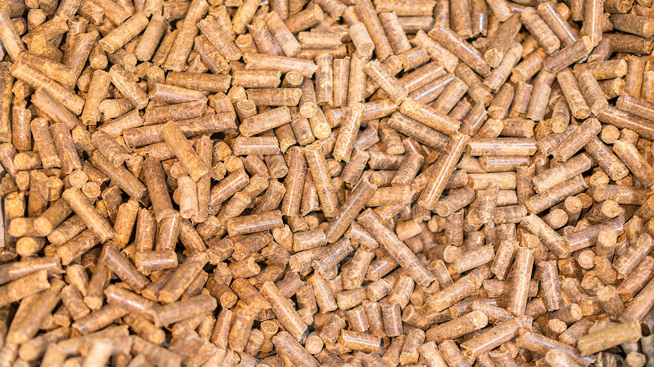 Pellets Biomass close-up